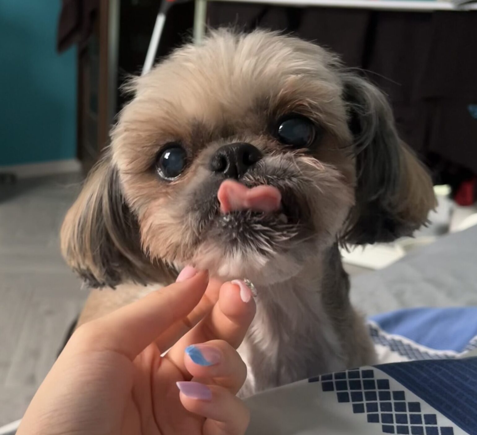 Kolejna witryna oparta na WordPressie